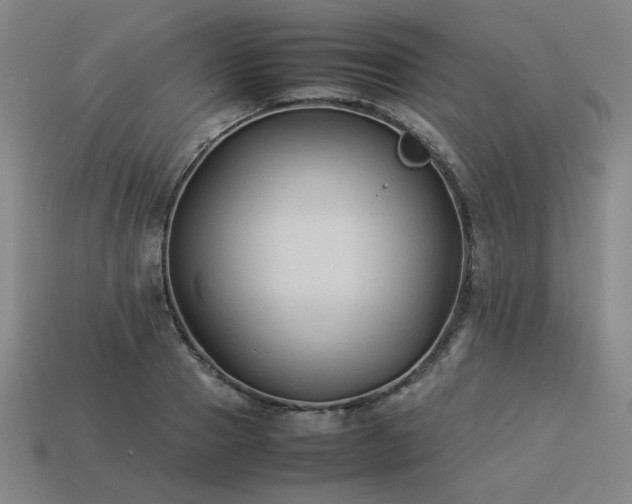 X0000113930937200909251216