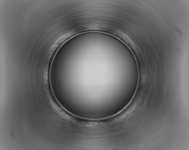 X0000113930938200909251216