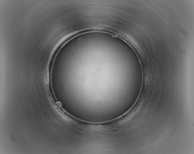 X0000113930940200909251216