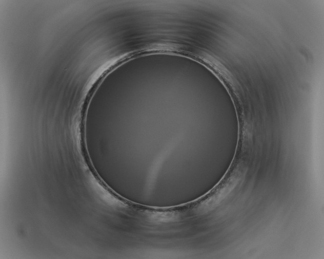 X0000113930941200909251216