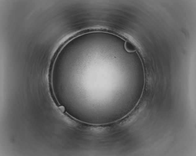 X0000113930943200909251216