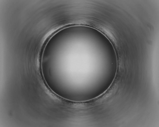 X0000113930944200909251216