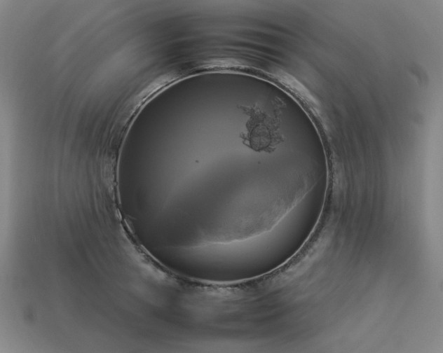 X0000113930945200909251216
