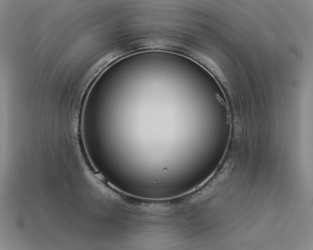 X0000113930946200909251216