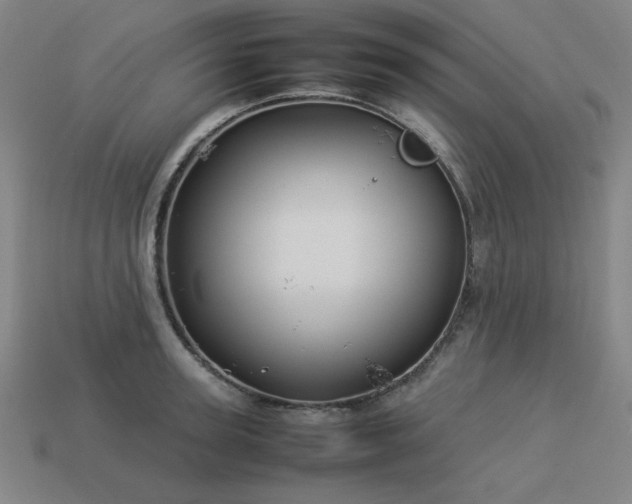 X0000113930947200909251216