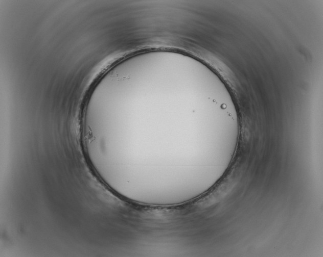 X0000113930950200909251216