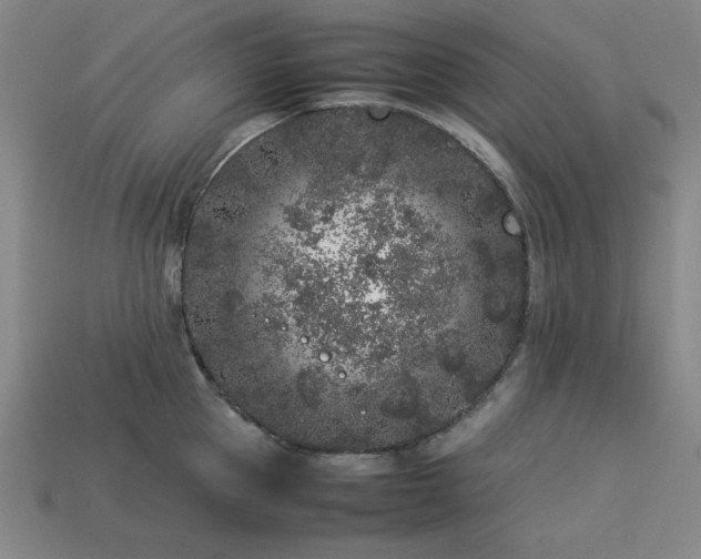 X0000113930953200909251216