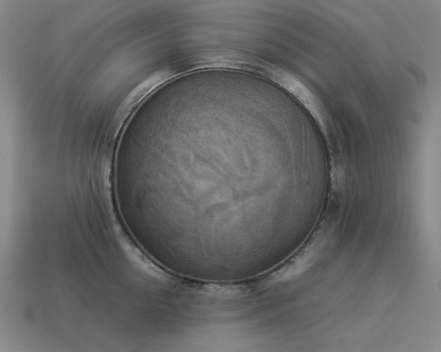 X0000113930954200909251216