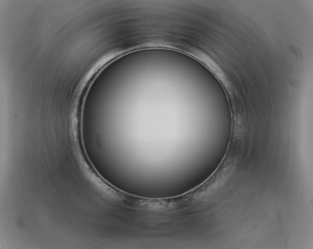 X0000113930955200909251216