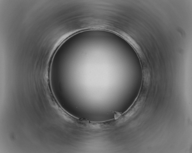 X0000113930956200909251216