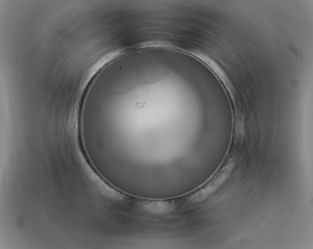X0000113930957200909251216