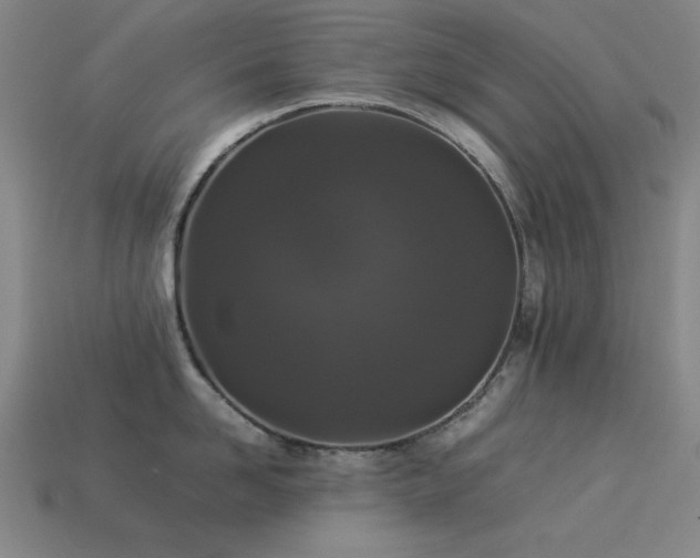 X0000113930958200909251216