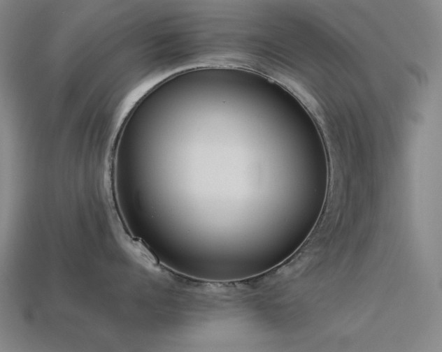 X0000113930960200909251217
