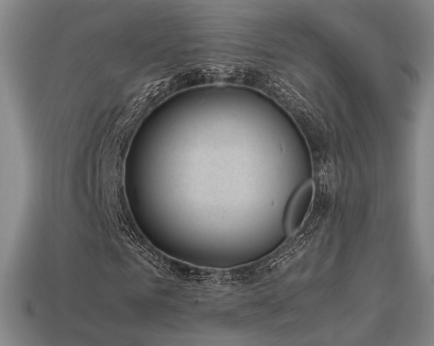 X0000113930961200909251216
