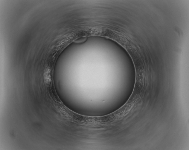 X0000113930962200909251216