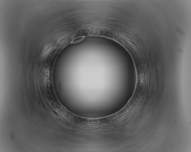 X0000113930964200909251216