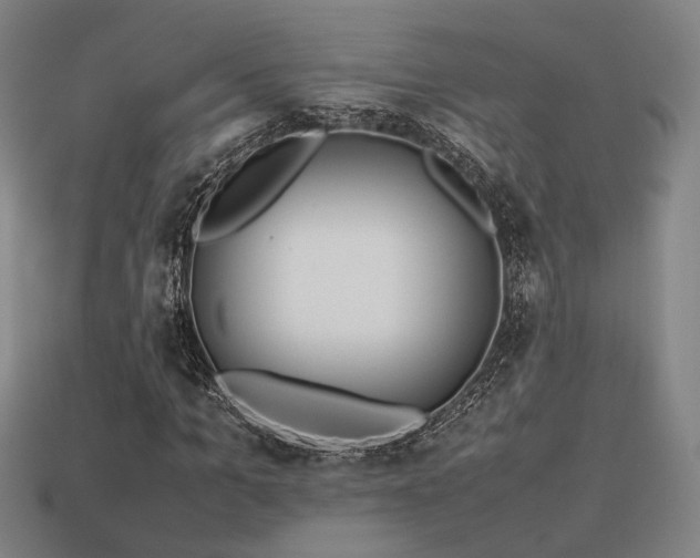 X0000113930965200909251216