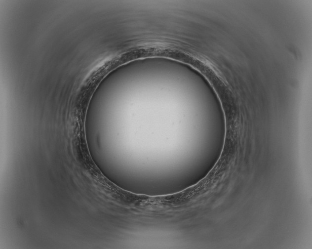 X0000113930967200909251216