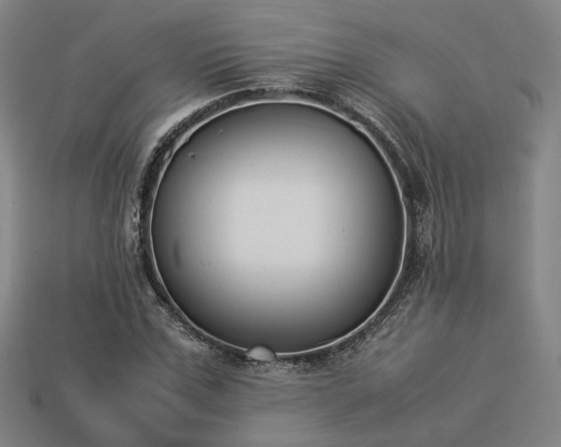X0000113930971200909251216
