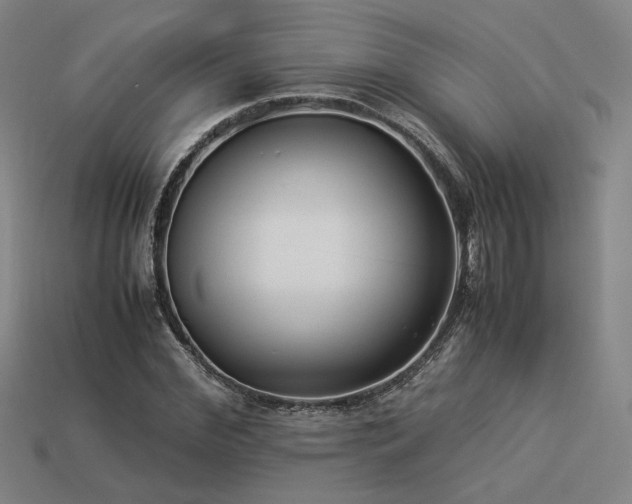 X0000113930972200909251216
