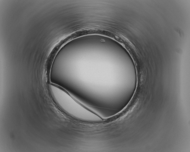 X0000113930973200909251216