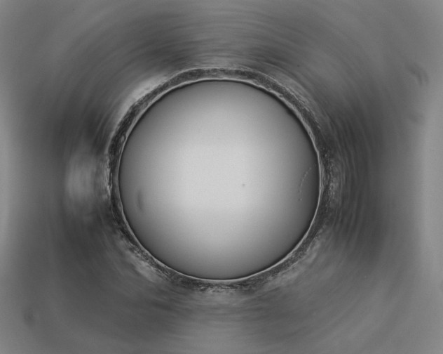 X0000113930974200909251216