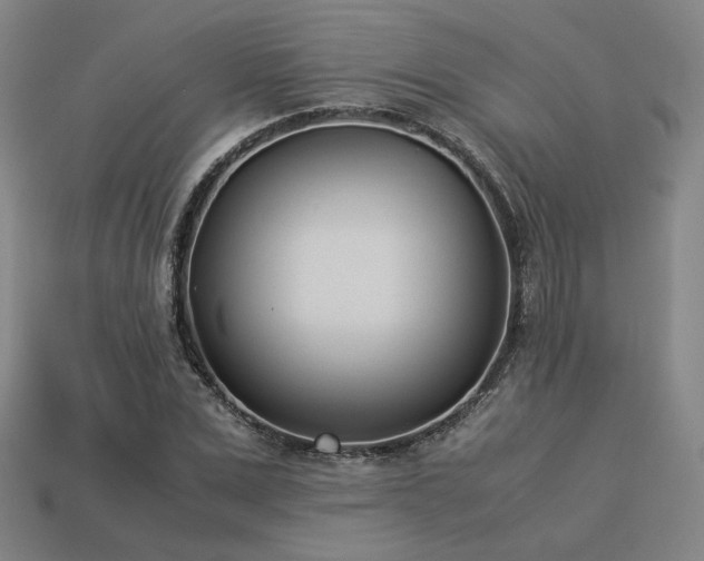 X0000113930975200909251216