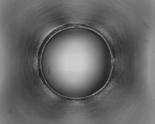 X0000113930976200909251216