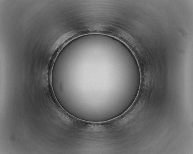 X0000113930978200909251216