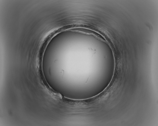 X0000113930979200909251216