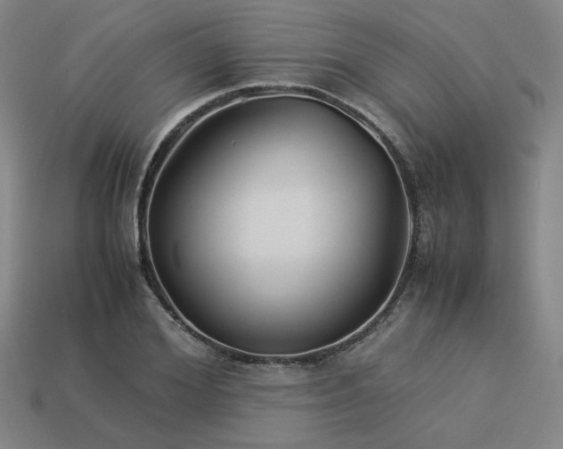X0000113930980200909251216