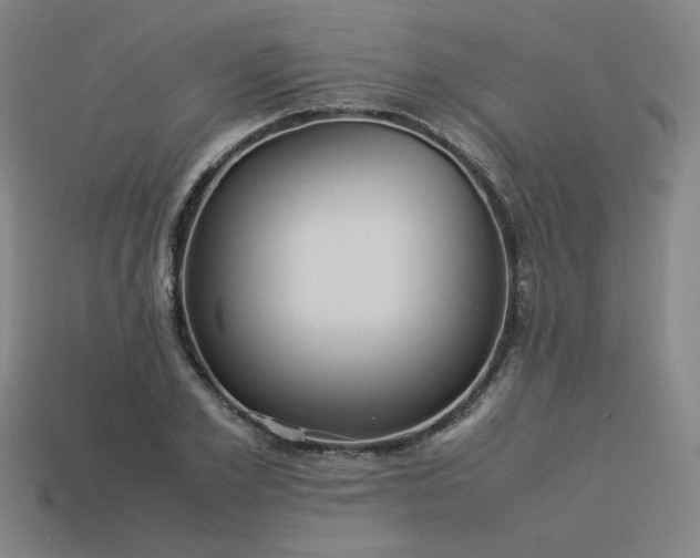 X0000113930981200909251216
