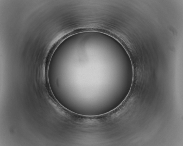 X0000113930982200909251216