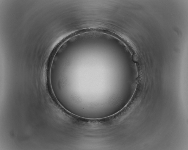 X0000113930983200909251216