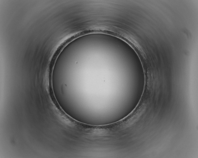 X0000113930984200909251216