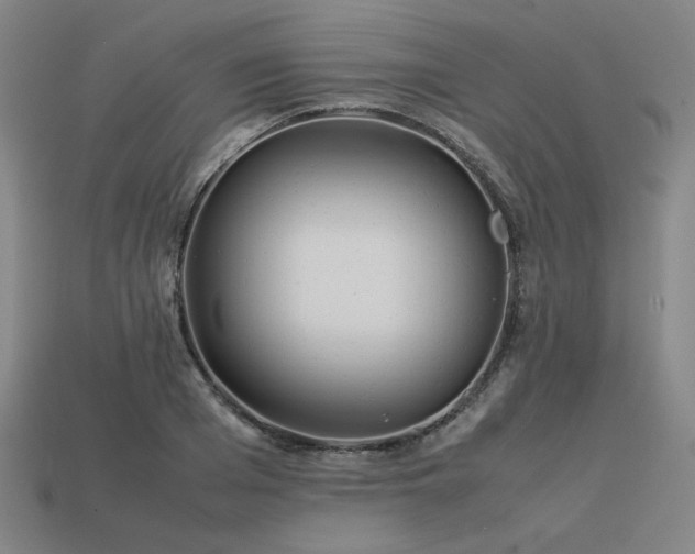 X0000113930985200909251216
