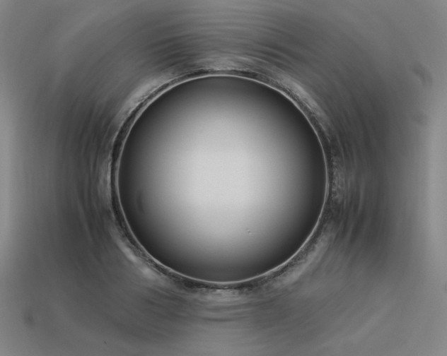 X0000113930986200909251216