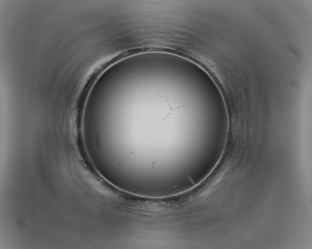 X0000113930987200909251216