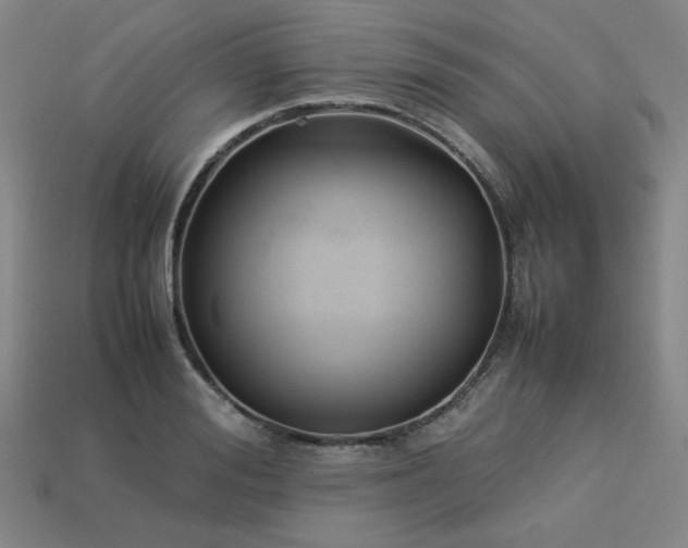 X0000113930988200909251216
