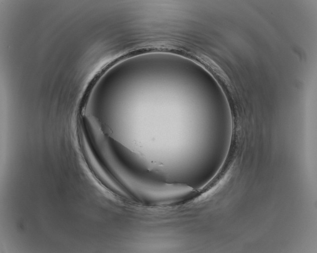 X0000113930989200909251216