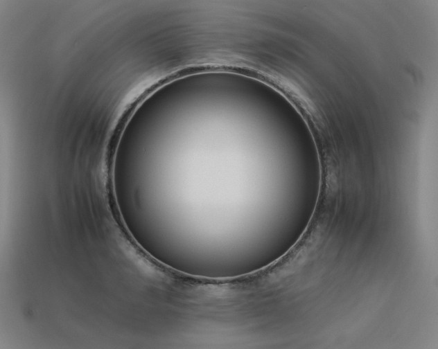 X0000113930990200909251216
