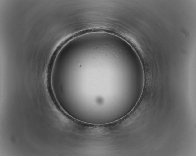 X0000113930991200909251216