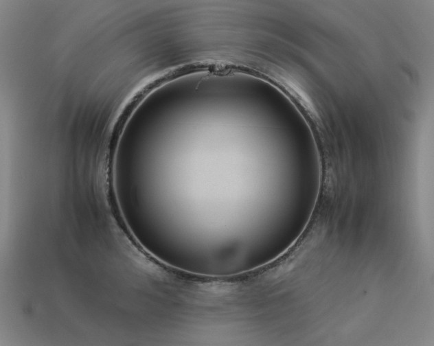X0000113930992200909251215