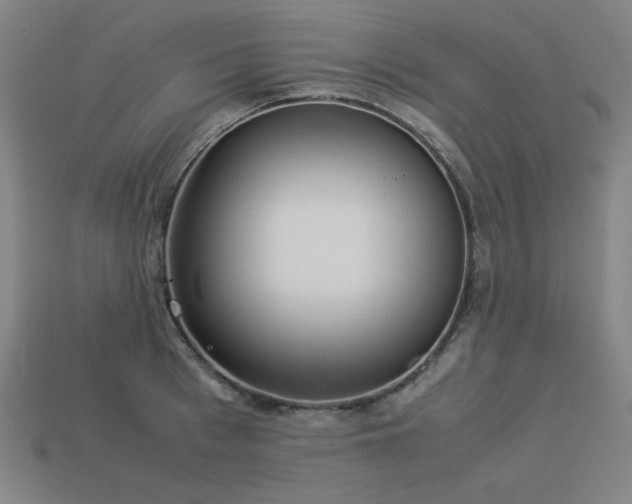 X0000113930993200909251215