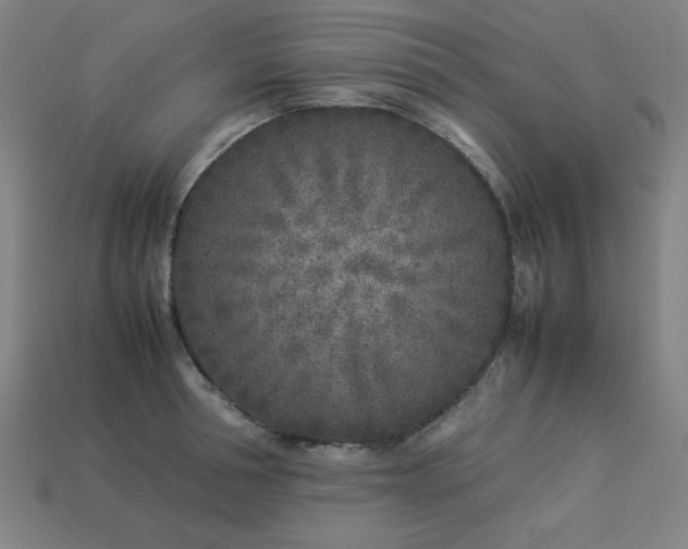 X0000113930994200909251215