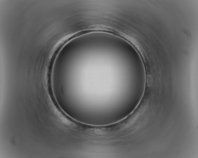 X0000113930995200909251215