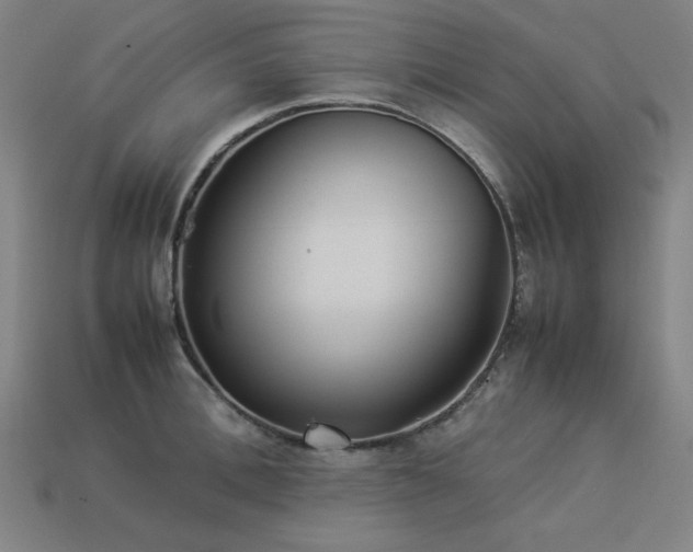 X0000113930996200909251215