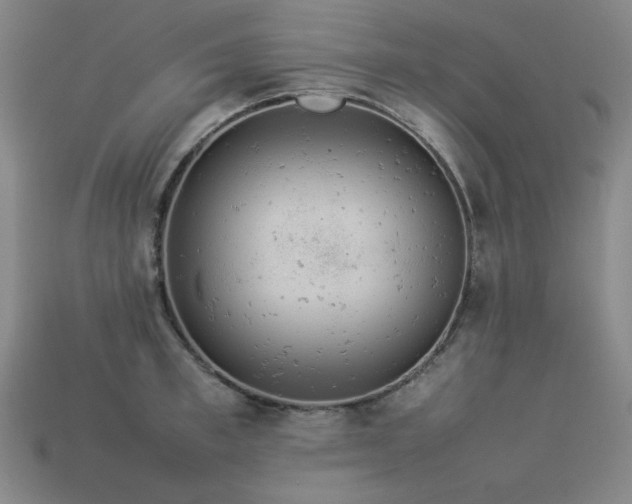 X0000113930997200909251215