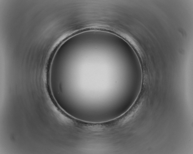 X0000113930999200909251215