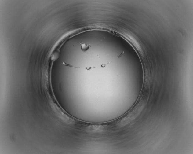 X0000113931000200909251215